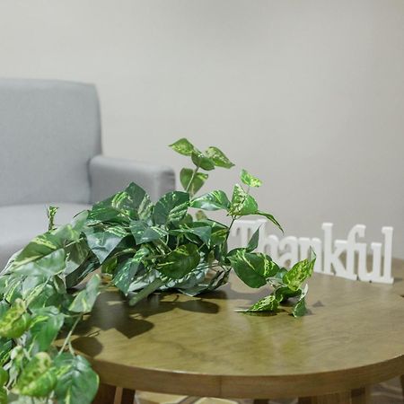 Relax In Style - Roma Norte 3Br - Fast Wifi メキシコシティ エクステリア 写真