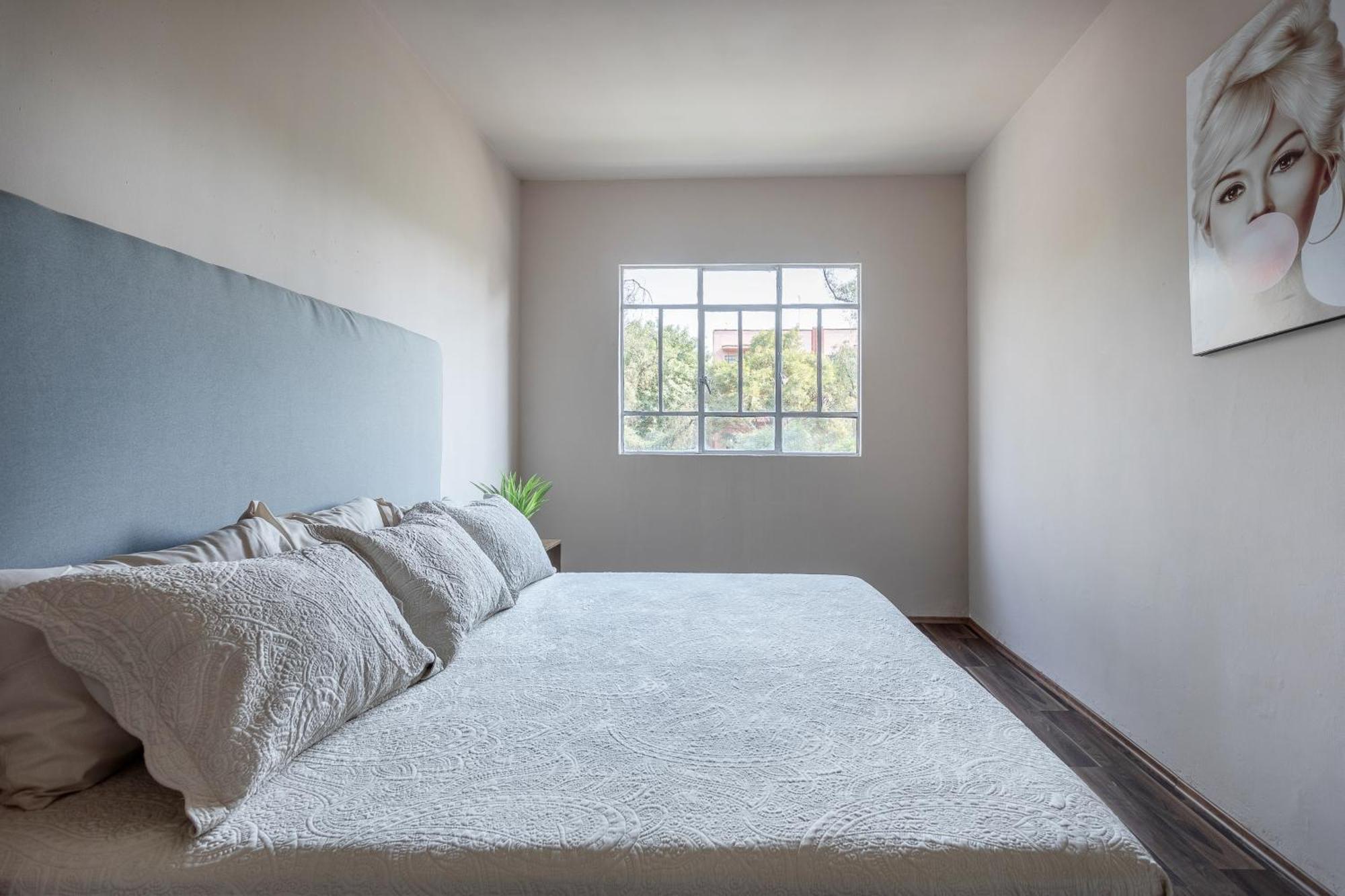 Relax In Style - Roma Norte 3Br - Fast Wifi メキシコシティ エクステリア 写真
